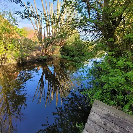 Сasa de vacaciones Rosa Mit Sauna