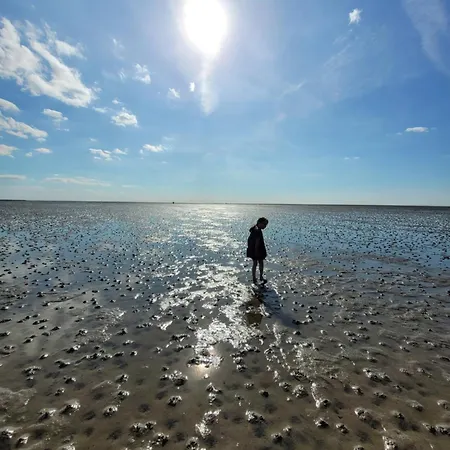 Rosa Mit Sauna 別荘 *