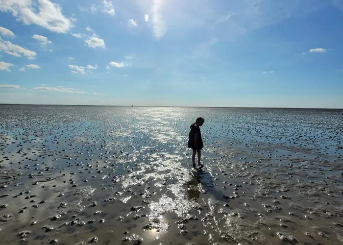 Rosa Mit Sauna 別荘 *